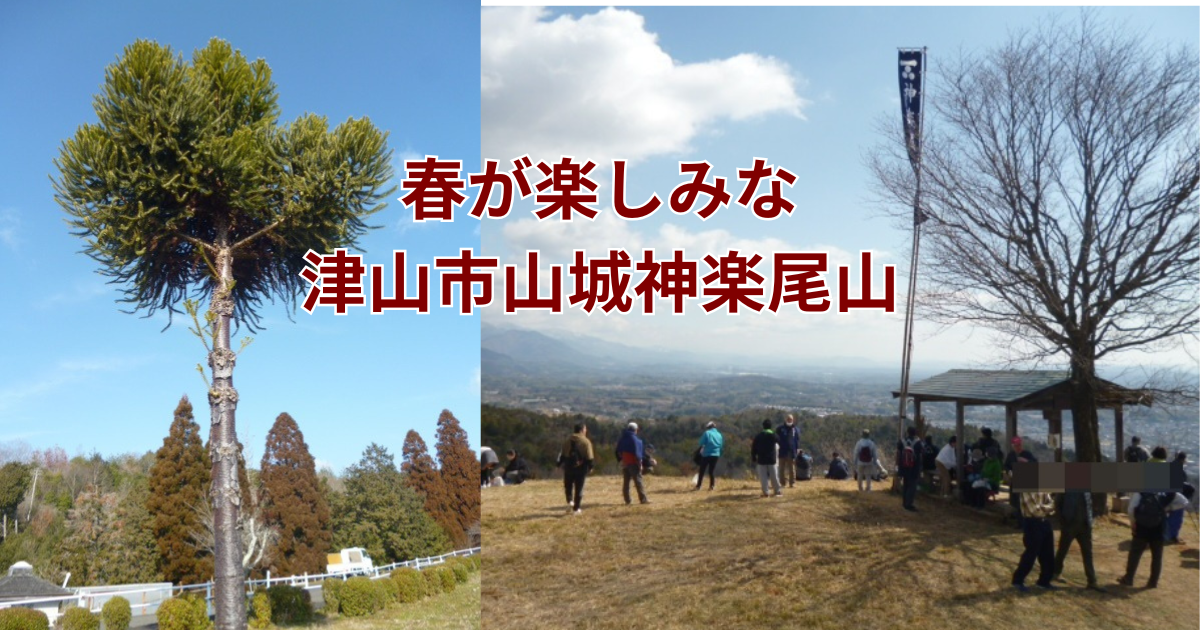 津山市神楽尾山山登り