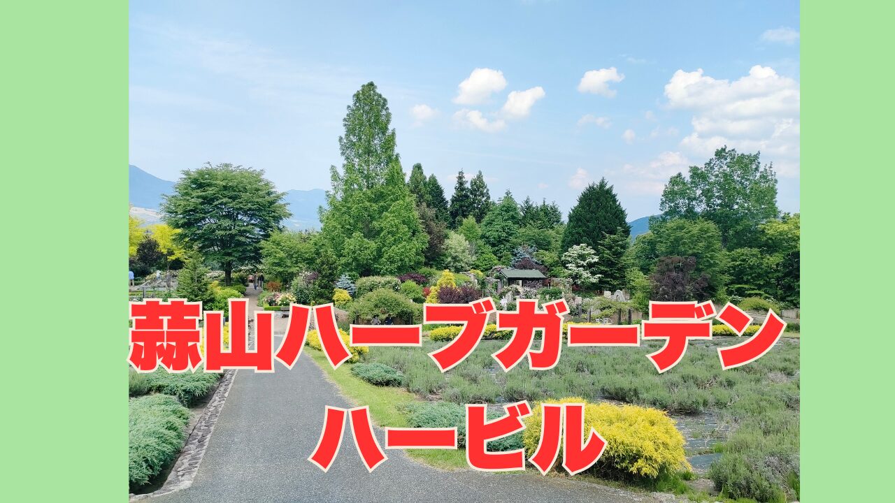 蒜山ハーブガーデンハービルラベンダー