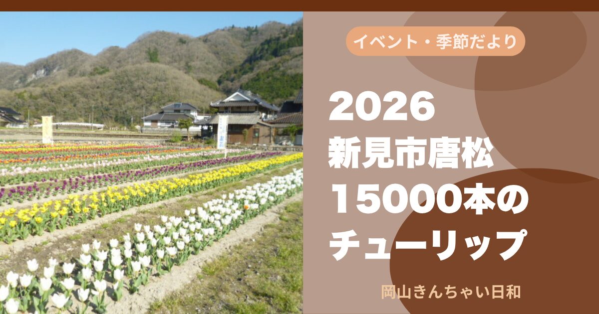 2026新見市唐松のチューリップ